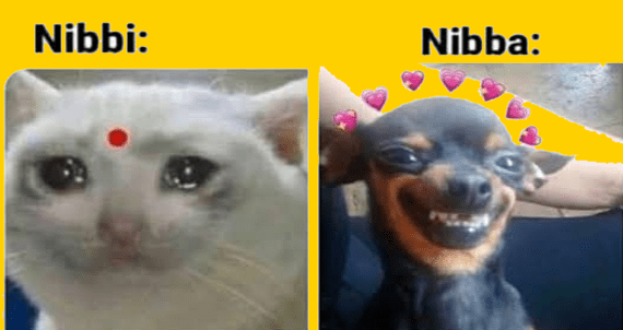 Nibba meaning in hindi